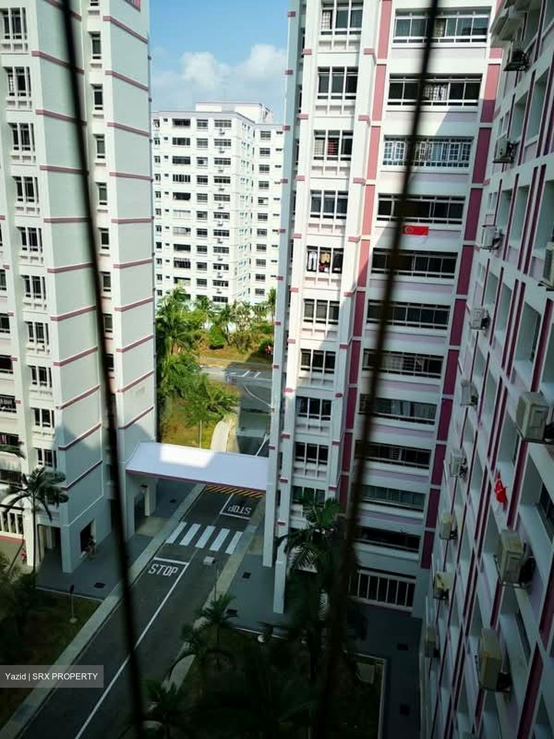 Blk 245 Pasir Ris Street 21 (Pasir Ris), HDB Executive #548328981